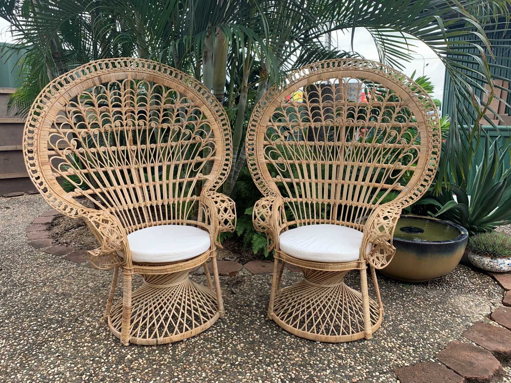 Patio Furniture Cane Peacock Chair For Sale Furniture Restoration