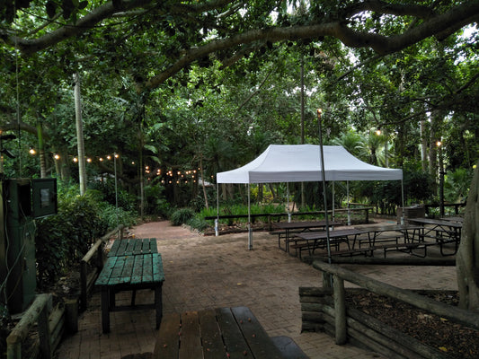 6m x 3m Pop Up Gazebo