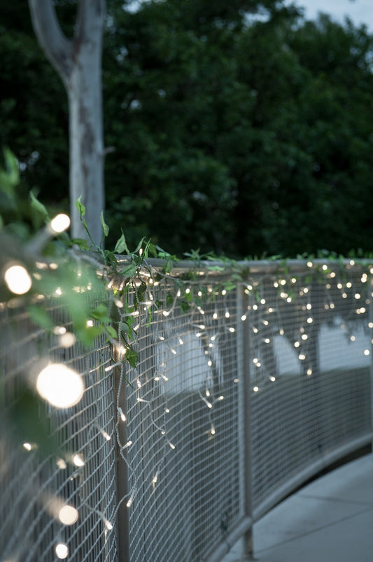 Fairy Light - DRYHIRE (pm)